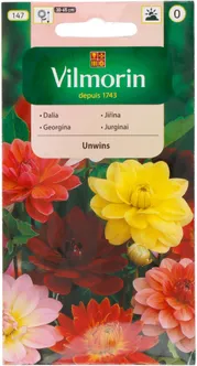 LILLESEEMNED DAALIA UNWIN