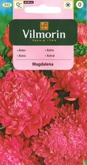 LILLESEEMNED HIINA AEDASTER MAGDALENA POJENG