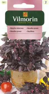 KÖÖGIVILJASEEMNED BASIILIK PUNANE