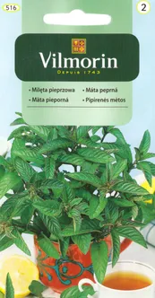 KÖÖGIVILJASEEMNED PIPARMÜNT VILMORIN CLASSIC