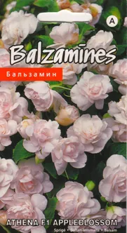 SEEMNED KURZEMES SEKLAS BALZAMIIN "ATHENA F1 APPLEBLOSSOM" 5S