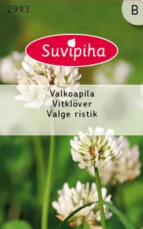 LILLESEEMNED VALGE RISTIK