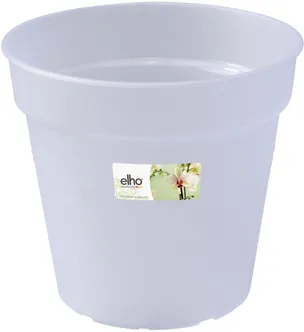 ORHIDEE ISTUTUSPOTT PROVENCE Ø17 H16