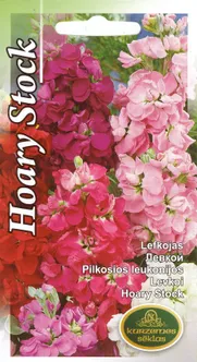 SEEMNED KURZEMES SEKLAS LEVKOI HOARY STOCK 0,7 G