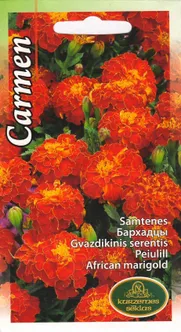 LILLESEEMNED KURZEMES SEKLAS PEIULILL CARMEN 1G