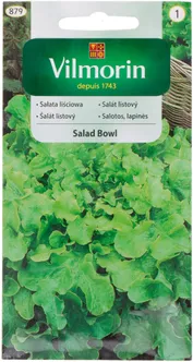 KÖÖGIVILJASEEMNED SALAT SALAD BOWL