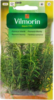 KÖÖGIVILJASEEMNED ROSMARIIN VILMORIN CLASSIC
