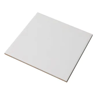 SEINAPLAAT 20X20CM COLOR ONE WAA1N104 VALGE MATT 1M² PAKIS