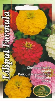 SEEMNED KURZEMES SEKLAS PRUUDISÕLG LILIPUT FORMULA JAUKTAS 1 G