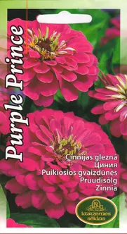 SEEMNED KURZEMES SEKLAS PRUUDISÕLG PURPLE PRINCE 1 G