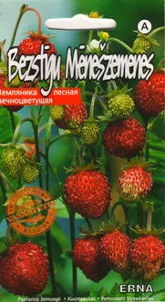 SEEMNED MAASIKAS ERNA 0,05G