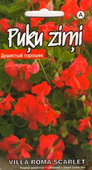 SEEMNED KURZEMES SEKLAS LILLHERNES VILLA ROMA SCARLET MADAL 1 G