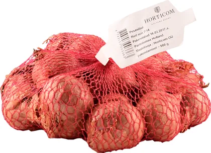 TIPPSIBUL ŠALOTTSIBUL RED SUN 500G