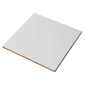 SEINAPLAAT MATT WHITE 20X20CM VALGE MATT 1M² PAKIS