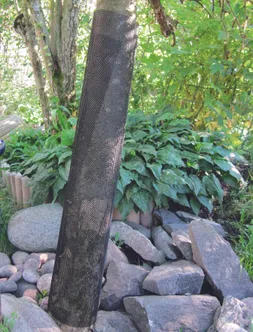 TÜVEAKAITSEVÕRK TARHA 35X55CM 2TK PAKIS