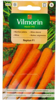 KÖÖGIVILJASEEMNED PORGAND NEPTUN F1 VILMORIN CLASSIC