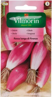 KÖÖGIVILJASEEMNED SIBUL ROSSA LUNGA DE FIRENZE VILMORIN CLASSIC