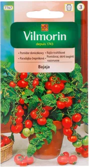 KÖÖGIVILJASEEMNED TOMAT BAJAJA