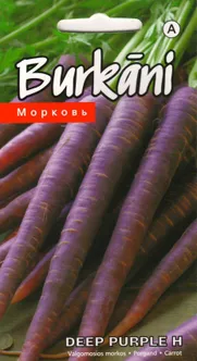 SEEMNED KURZEMES SEKLAS PORGAND DEEP PURPLE H 0,2G