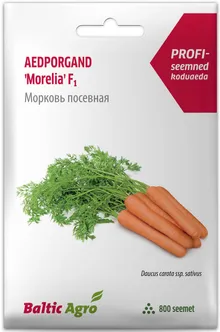SEEMNED BALTIC AGRO PORGAND "MORELIA" RZ F1