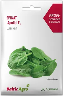 SEEMNED BALTIC AGRO SPINAT "APOLLO" F1 5G