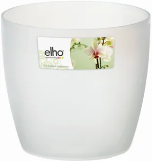 ORHIDEEPOTI ÜMBRIS BRUSSELS Ø12,5CM