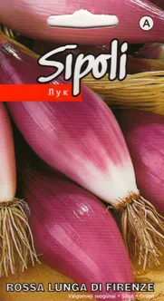 SEEMNED SIBUL KURZEMES SEKLAS 'ROSSA LUNGA DI FIRENZE' ROOSA 2G