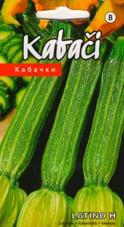 SEEMNED KURZEMES SEKLAS KABATŠOKK 'LATINO H' TRIIBULINE 5S