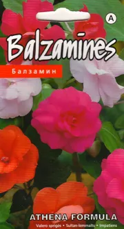 LILLESEEMNED KURZEMES SEKLAS SULTAN-LEMMALTS 'ATHENA FORMULA' TÄIDISÕIELINE