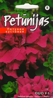 LILLESEEMNED KURZEMES SEKLAS PETUUNIA 'DUO H BURGUNDY' TÄIDISÕIELINE 15 S