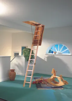 PÖÖNINGULUUK DOLLE EUROISO 120X60