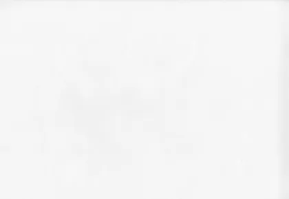 ALUSFLIIS VÄRVITAV SINTRA BASICVLIES 699997 1,06X25M