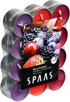 LÕHNASTATUD TEEKÜÜNAL SPAAS MARJAKOKTEIL 4,5H 24TK/PK