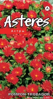 SEEMNED KURZEMES SEKLAS ASTER TROBADOR PUNANE 0,2 GR