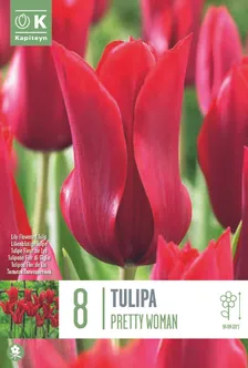 LILLESIBUL KAPITEYN LIILIAÕIELINE TULP "PIETER DE LEUR"
