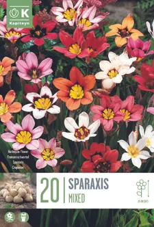 LILLESIBUL KAPITEYN NARRIÕIS SEGU 20TK PAKIS