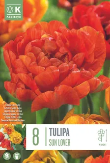 LILLESIBUL KAPITEYN TÄIDISÕIELINE TULP "SUN LOVER"