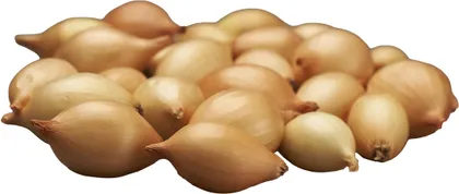 TIPPSIBUL CORRADO F1 21-24MM 0,5KG