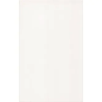 SEINAPLAAT BIALA MATOWA 25X40CM VALGE MATT 1,1M² PAKIS