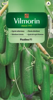 KÖÖGIVILJASEEMNED KURK PICOLINO F1