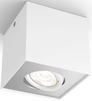 KOHTVALGUSTI PHILIPS BOX 1X4.5W (WGD) VALGE HÄMARDATAV