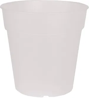 ISTUTUSPOTT ORHIDEELE ARTEVASI MADAGASCAR TO GROW 11CM LÄBIPAISTEV