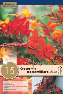 AED-KAERALILL KAPITEYN 15TK PAKIS