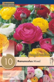 AASIA TULIKAS SEGU KAPITEYN 10TK PAKIS