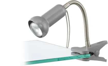 KOHTVALGUSTI EGLO FABIO 1X40W E14 HÕBE