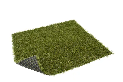 TERRASSIKATE TURFGRASS 2M ALVA OLIVE