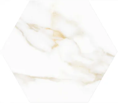 PÕRANDA-JA SEINAPLAAT PRISSMACER MT PAONAZZO GOLD MATT 20X24CM