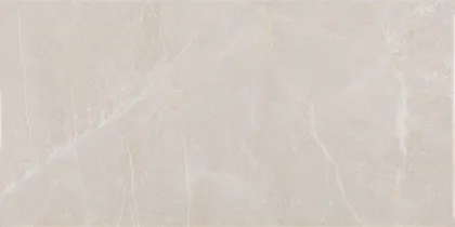 SEINAPLAAT PRISSMACER ESS AUREA MARFIL GLOSSY 25X50CM