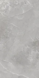 PÕRANDA- JA SEINAPLAAT AZUMA ROMERO GRIS MATT 60X120CM 1,44M² PAKIS