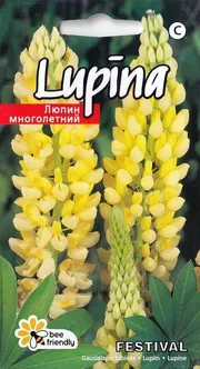 SEEMNED KURZEMES SEKLAS LUPIIN FESTIVAL P1 2G